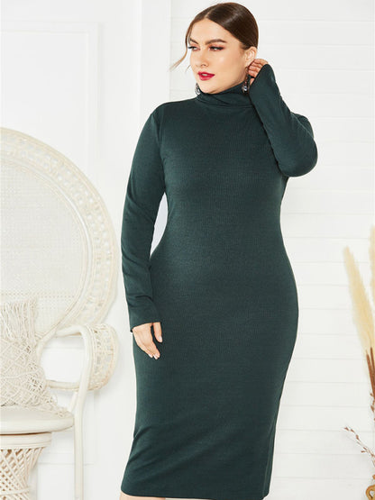 Women's Plus Size Solid Color Knit Turtleneck Long Sleeve Dress